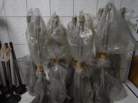 UET 45/75 排氣閥桿&座